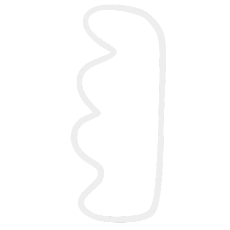 Shape